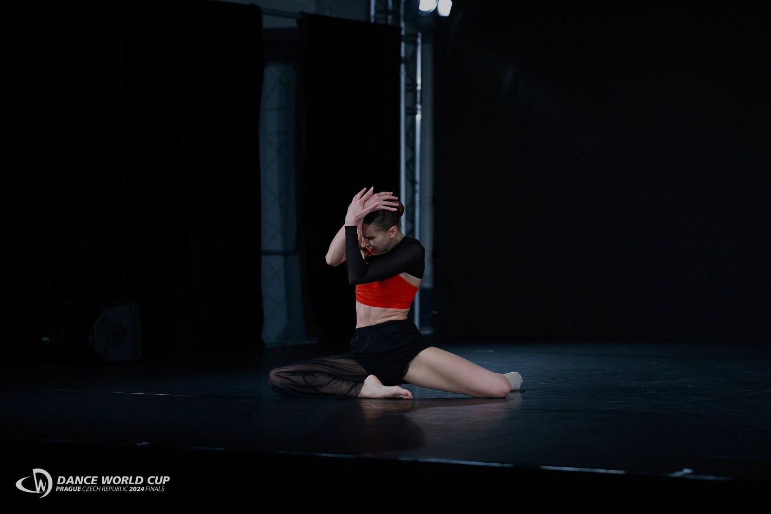 Ania Gołębiowska gallery 1