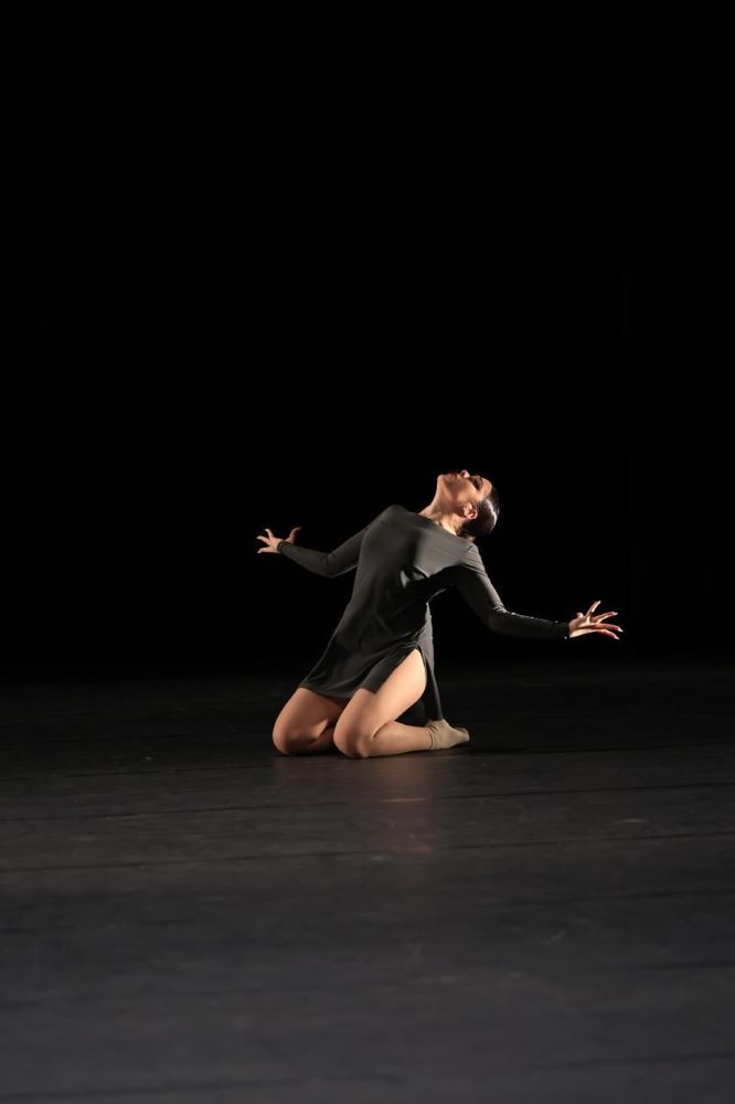 Arina Shamray gallery 2