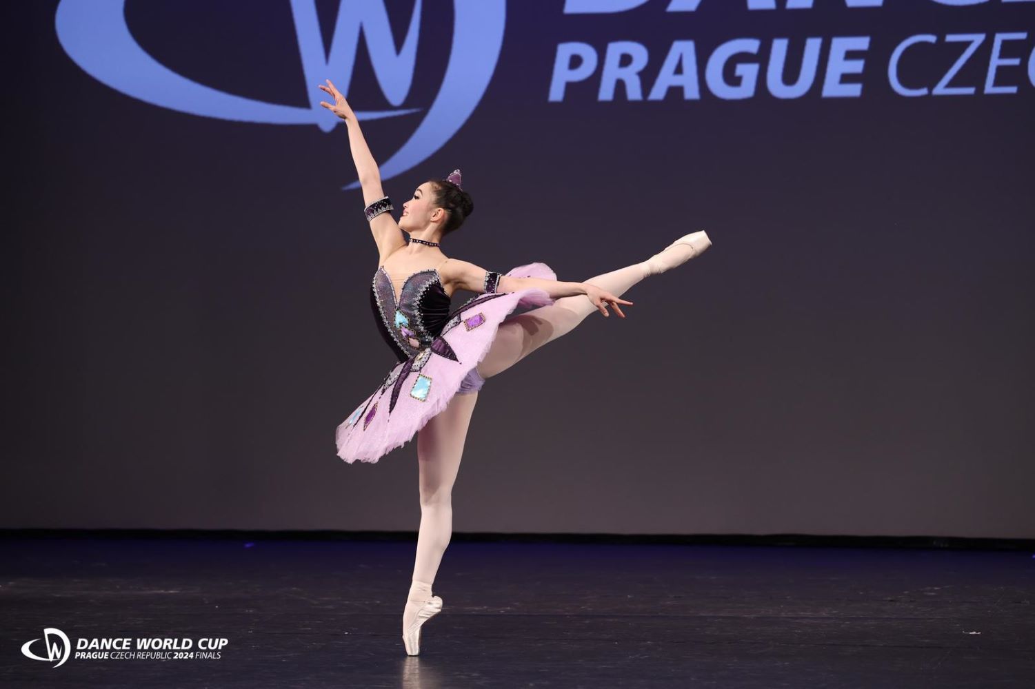 Meng Yun Fiona Chang gallery 2