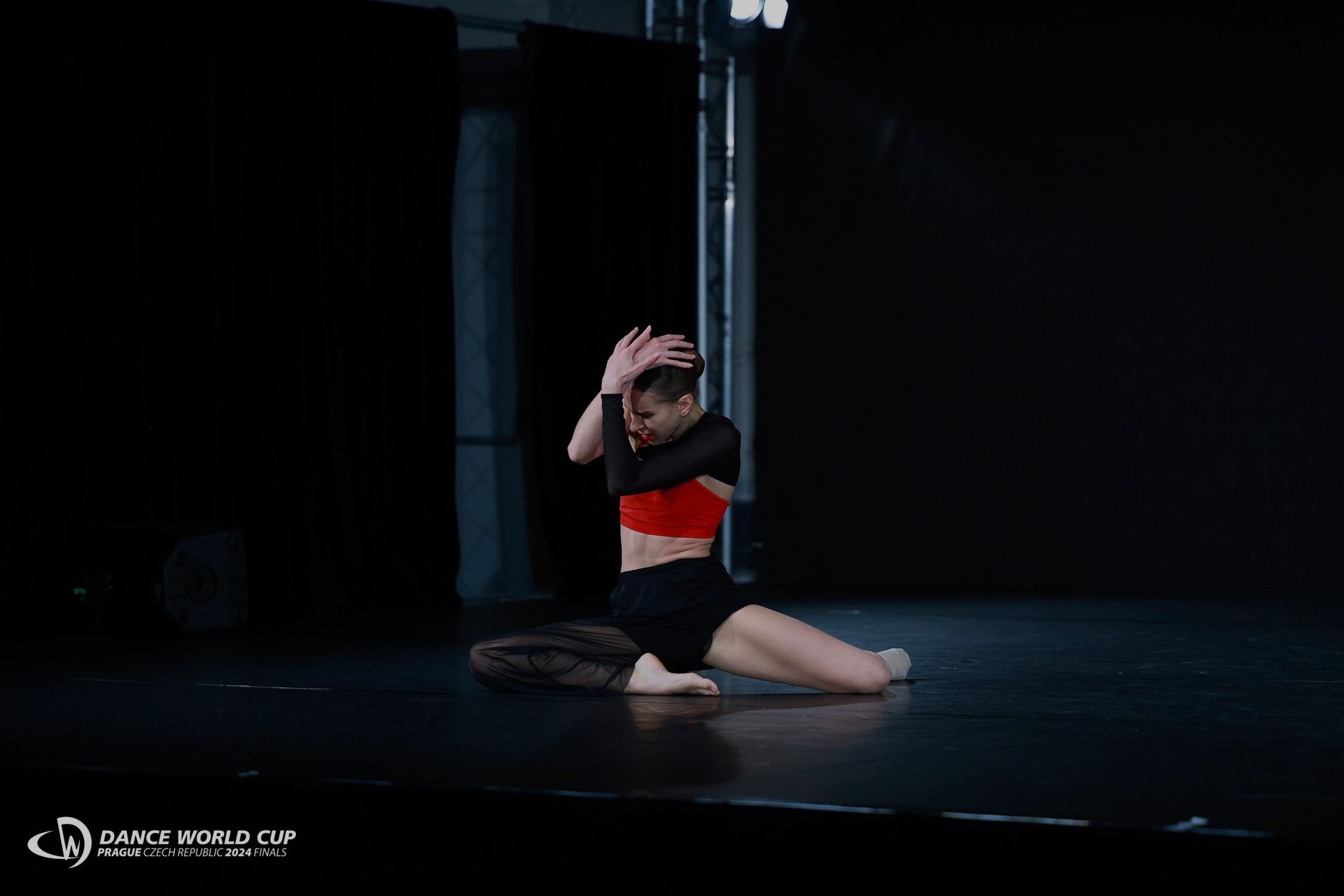 Ania image 1